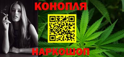 шишки Жуковский