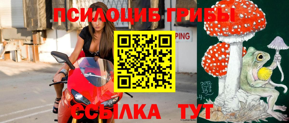 Галлюциногенные грибы Magic Shrooms  Вход с VPN  Кулебаки 